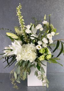 DAME SPONTANÉE